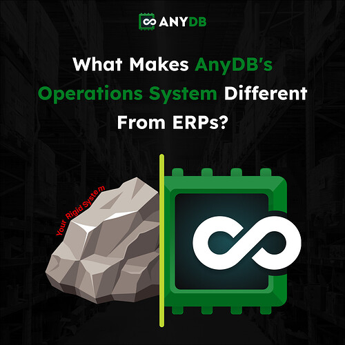 What makes AnyDB's operations's system different from ERPs_