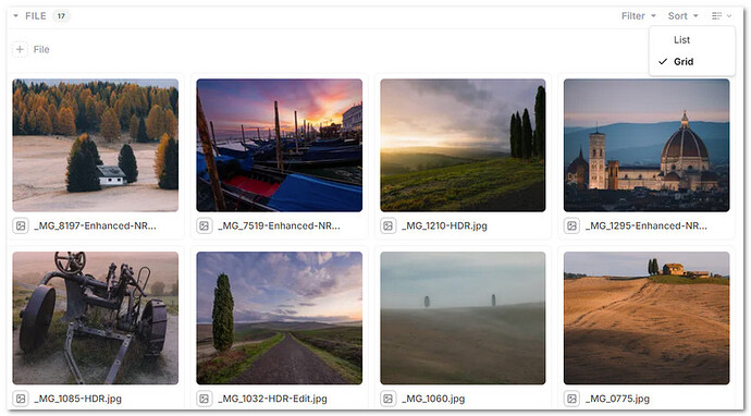 anydb_new_record_view