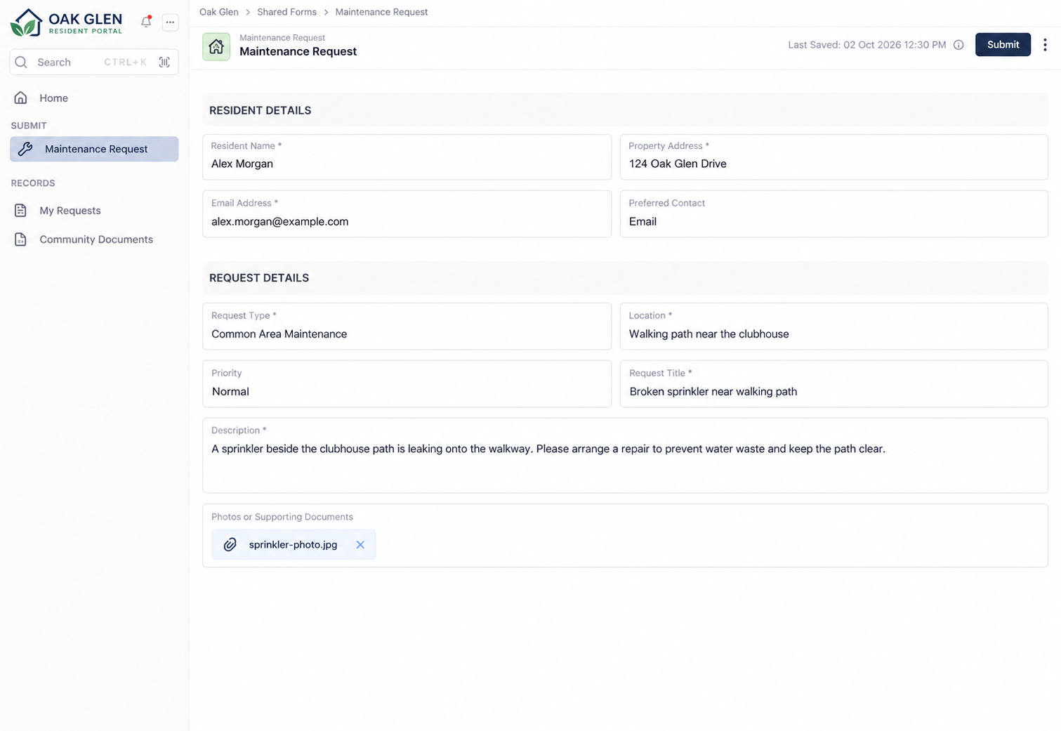 Submitting a form and request through an AnyDB portal